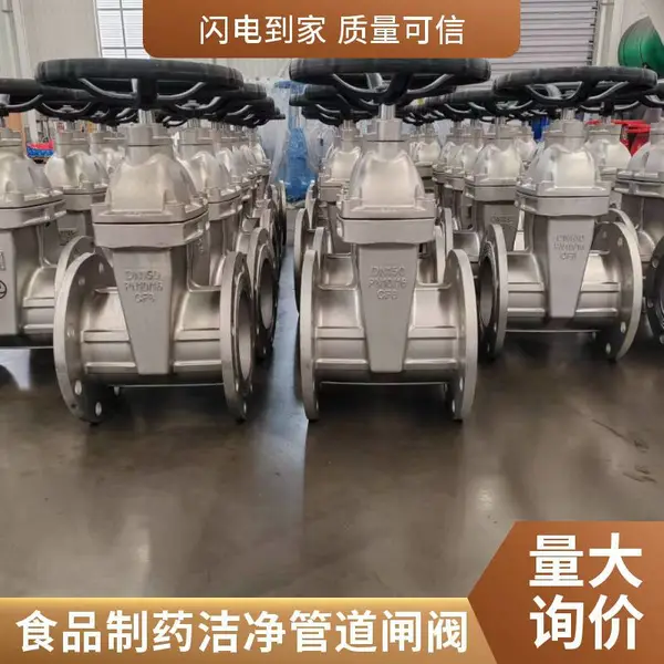 法兰闸阀 CF8不锈钢 DN80 适用污水工程 支持定制长度 质优价廉