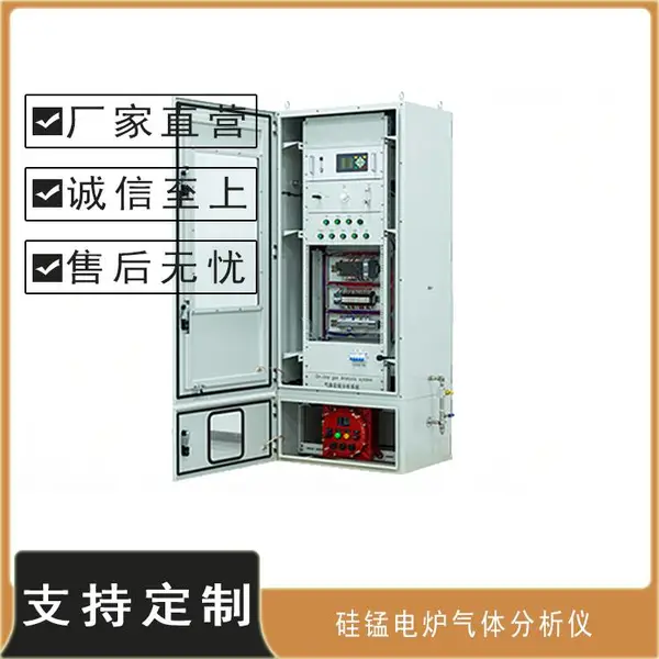 PUE-3000硅锰电炉尾气连续监测系统 耐高温直插式 自动反吹防堵