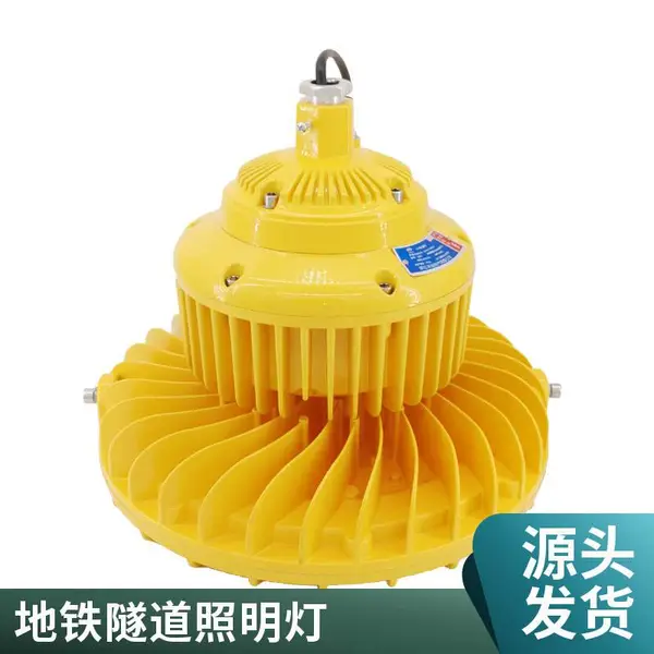 户外防爆泛光灯100W 防爆隧道灯led防爆照明灯防水
