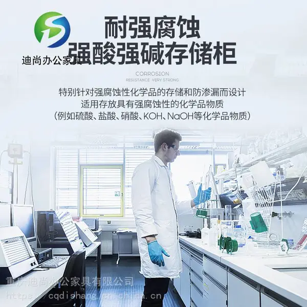重庆迪尚pp酸碱柜 耐强酸碱柜 pp强酸碱柜 45加仑酸碱柜 12加仑酸碱柜可定做