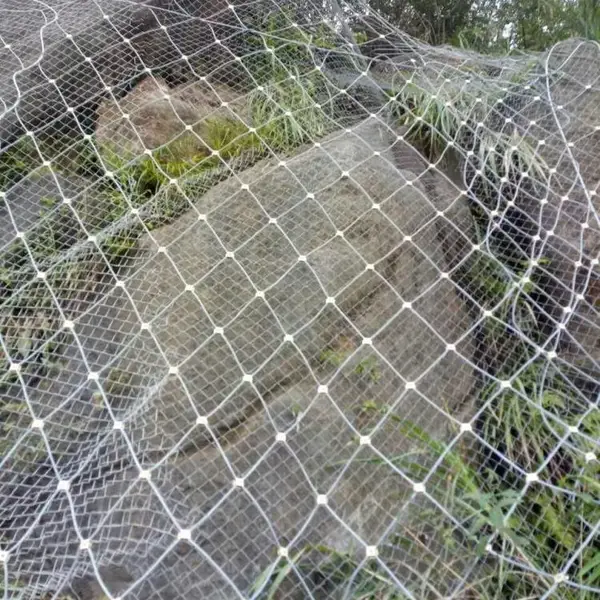 ���·����������ͷ��������ҽ���