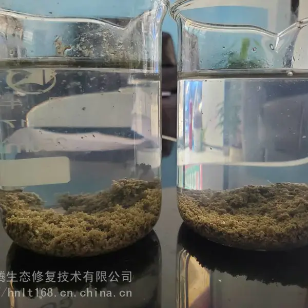 供应日本住友进口水处理高分子絮凝剂PAM