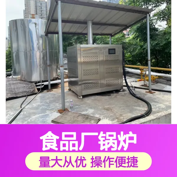 迪森食品厂锅炉 优质耐用 高效节能 工业级加热设备