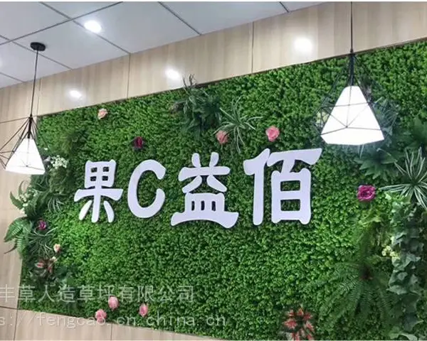 隔断草坪装饰小面积填充缝隙绿化形象配饰花草背景绿植