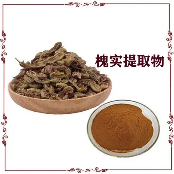 �Ʋ�Ҷ��ȡ��20:1 ����Ҷ��ȡ�� �鲼Ҷ�� 