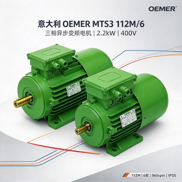 意大利OEMER奥默 MTS3 112M/6三相变频电机 2.2kW IE3 泵风机驱动用
