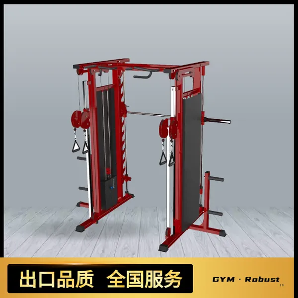 GYM·Robust综合健身训练器材 室内器械厂家订制