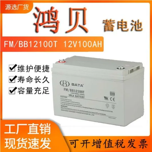 �豴����FM/BB12200T 12V 200AH��ά��Ǧ���������ݴ洢�豸