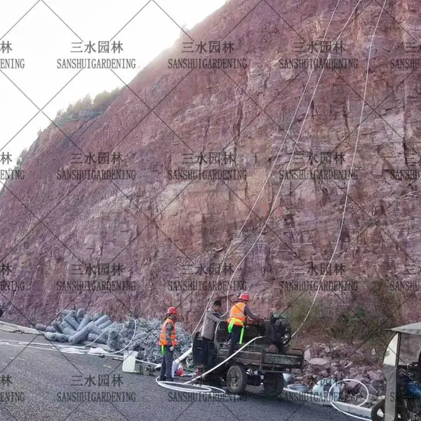 福建草坪草种种子批发供应三明草坪草种种子批发供应宁德草坪草种种子批发供应莆田草坪草种种子龙岩批发供应