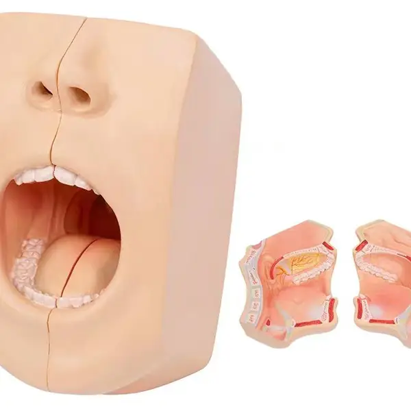 ��Ӧ����ҽѧKAY-L1106��ǻ����ģ��-�����ǻ����ģ�� ��ٿ�ҽѧ����ģ��