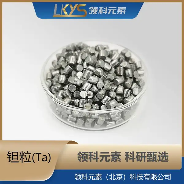 高纯钽 高纯钽粒 钽粒 高纯钽厂家 供应钽粒 规格φ6*6mm*500g