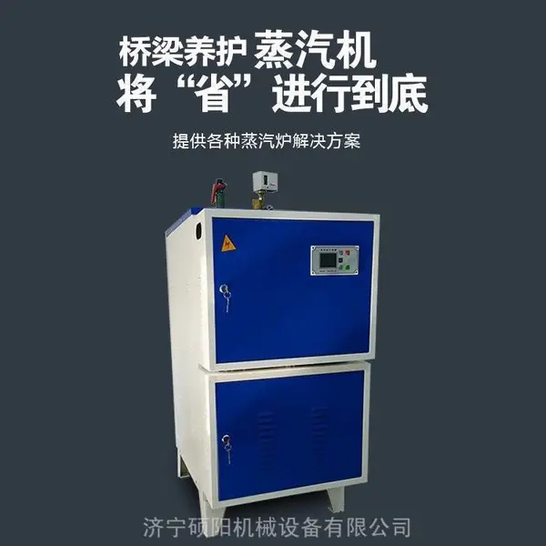 24KW电加热蒸汽发生器 桥梁立式高温加热蒸汽锅炉