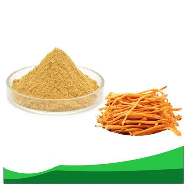 蛹虫草提取物10:1比例提取, 蛹虫草速溶粉 ,虫草多糖 50%,虫草素8%,1公斤起订,包邮