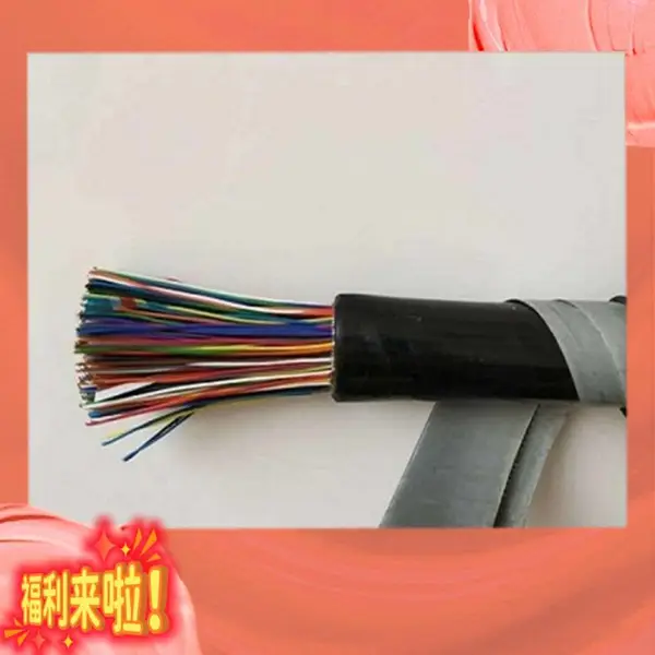 低烟无卤计算机电缆12*2*1.5WDZRNH-DJYPY-