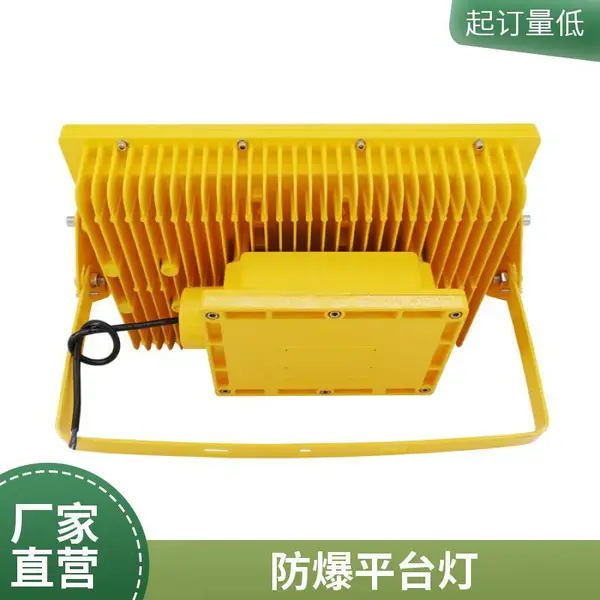 防爆泛光灯 LED防爆灯 200W 300W 油库码头防爆照明 支架可调