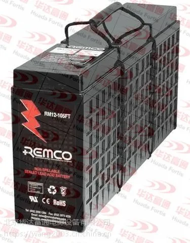 REMCO蓄电池 国内现货销售/报价