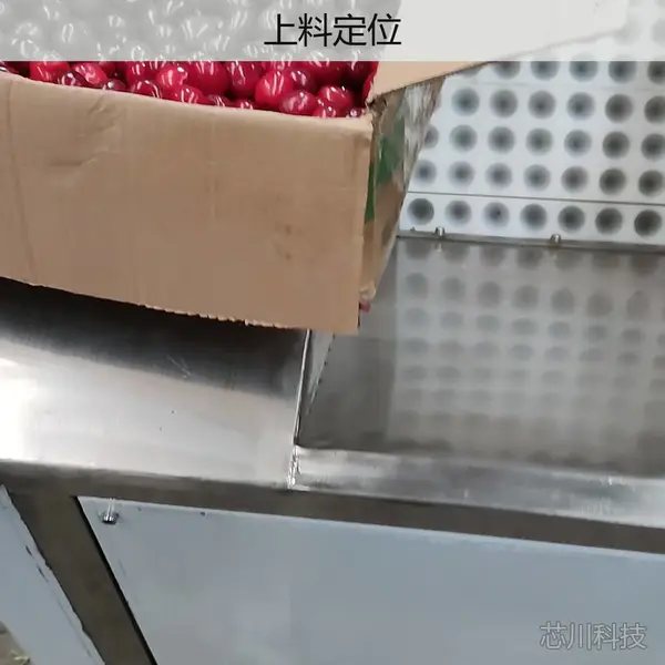 百喜利樱桃去核机 小浆果加工冲核设备