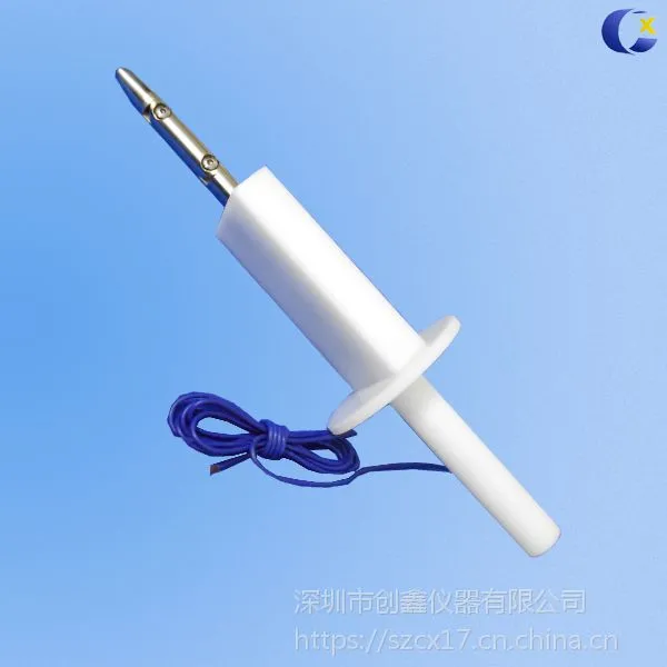 ���ڴ��α�׼������ָ �Ծ�B������̽��