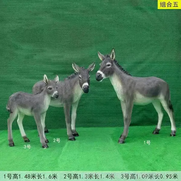 �����ַ��涯�������¹¿����¹��è����