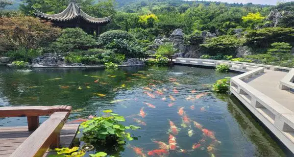 上海全屋景观生态鱼池增氧一体 上海溪留锦生态园林工程供应
