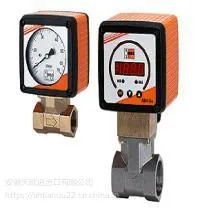 �����Żݱ���Honsberg HD1K- 025GM030������