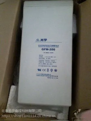 ��������GFM-200������2V200AH ͨ�Ż�վ��·ֱ��ƿUPSר��