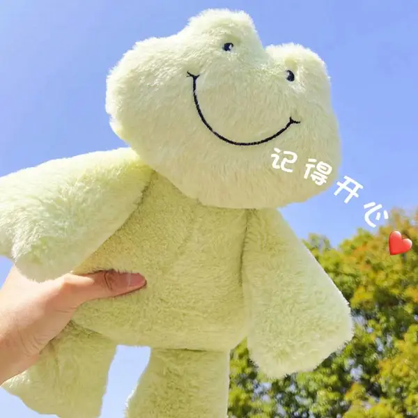 毛绒玩具微笑青蛙公仔玩偶ins小红书同款田园小动物娃娃批发外贸