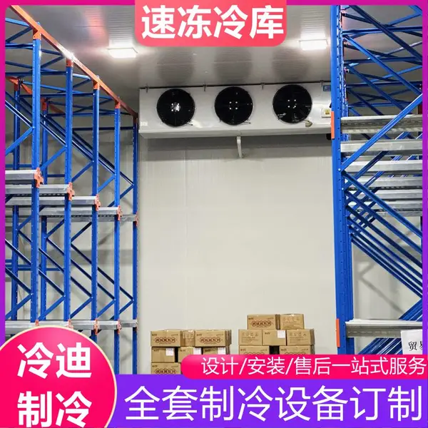冷冻库建造10000平方大型冷库工程电商生鲜库造价 冷迪制冷