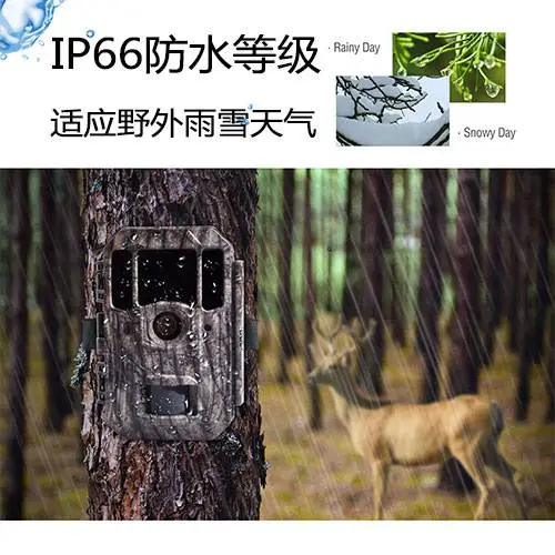 BG662Mȫ����4KͨѶ��