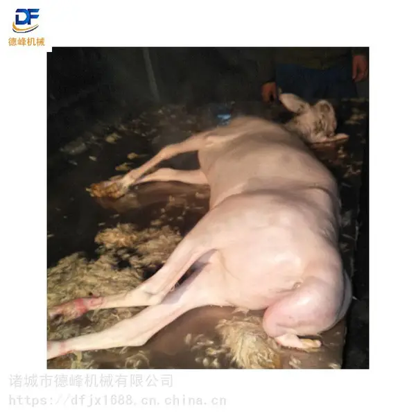 ����������ë�� �������ë�� ��������ë����Ƥ������