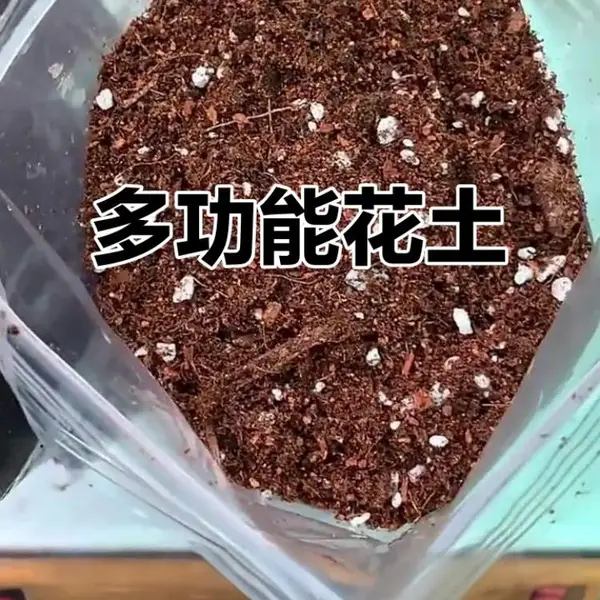 菜园营养土东北天然草炭土大块育苗基质多肉花卉种植泥炭土