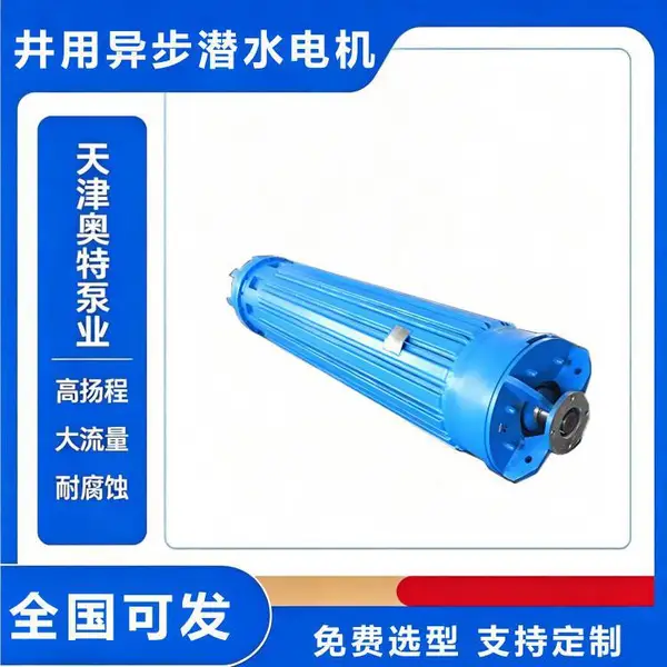 潜水电机 双吸式潜水电泵电机 大型水利工程用厂家定制