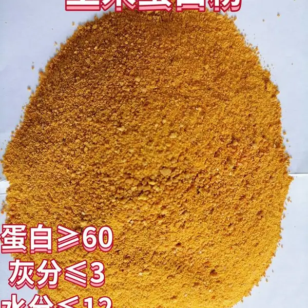 滨州凯胜饲料 玉米蛋白粉批发厂家直销