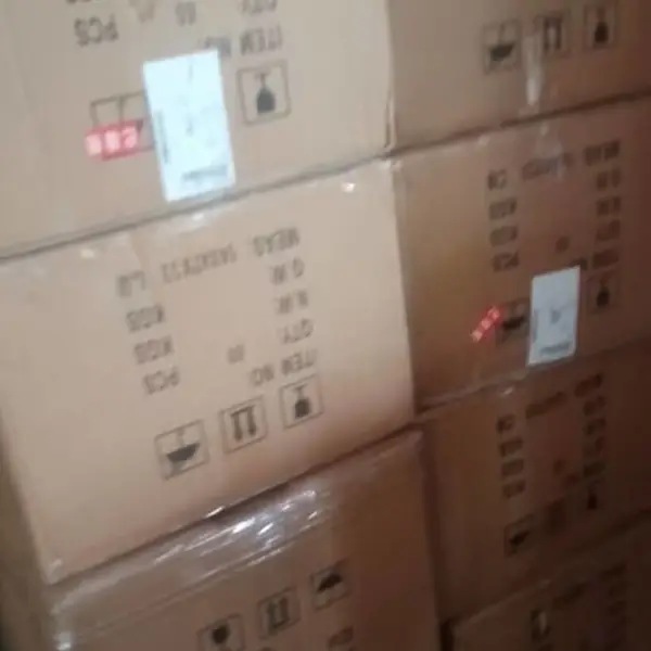 ���ݿ羳��������ͨOZON����ר�߶���˹���Ųֿ�