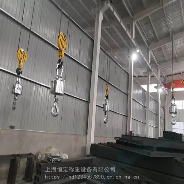 无线传输电子吊磅称 双头电子行车称 起重吊装称重的电子称
