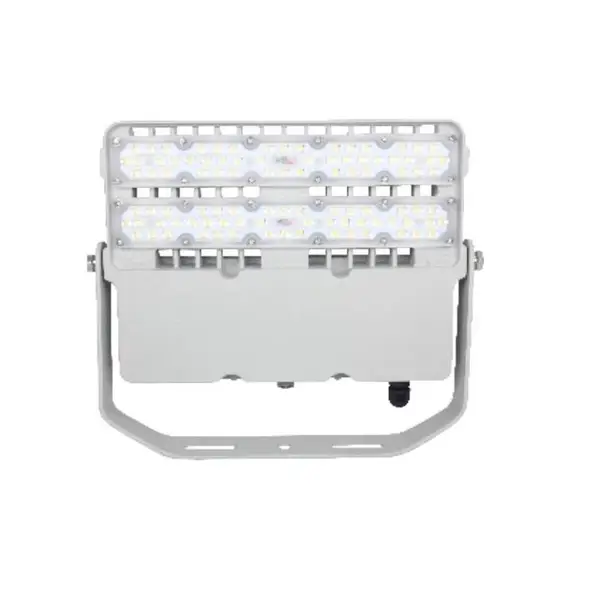 LED�����100WLED����Ƶ�LED�㳡��100WLED����������100WLEDͶ���100W