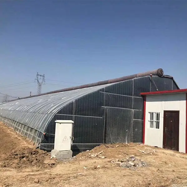 西宁蓝莓种植简易智能温室大棚建设 镀锌钢管骨架 鲁苗