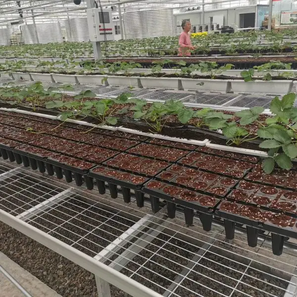 复产育苗专用移动苗床 快速恢复育苗产能 厂家现货优先发货