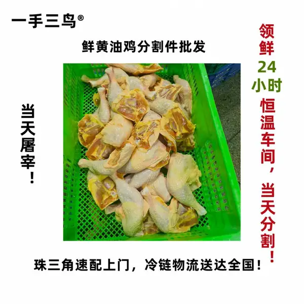 一手三鸟供港黄油鸡全腿鸡腿手枪腿鸡翅鸡脚鸡胸肉鲜鸡分割件批发
