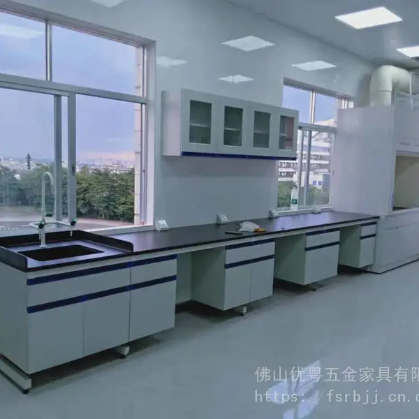佛山实验室家具.阳江实验台钢木实验台中央实验台