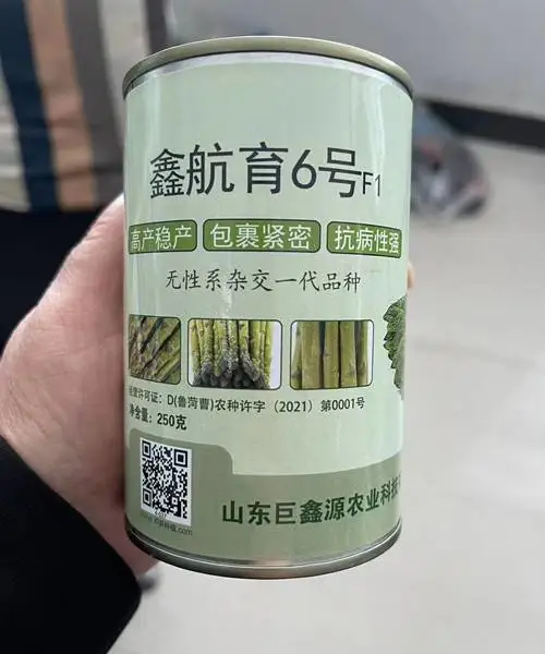 杂交一代鑫航育6号芦笋种子巨鑫源芦笋种子厂家批发