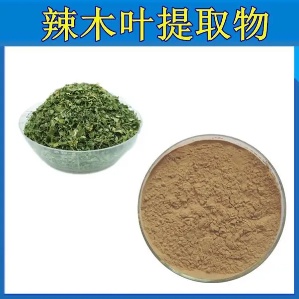 辣木叶提取物 可分装小样 斯诺特 水提醇沉鼓槌树叶粉
