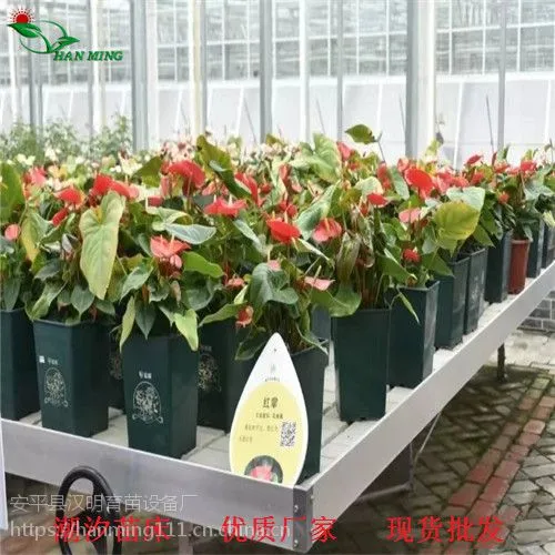 名贵花卉移动苗床 潮汐灌溉式苗床「3.8女王节推荐」