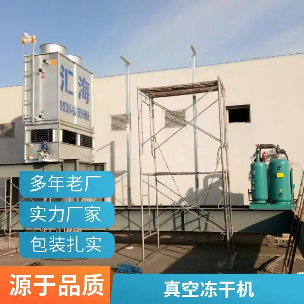 汇海 商用食品冷冻速冻设备 牡蛎花蛤海产品隧道速冻机 速冻油条机 冻干机