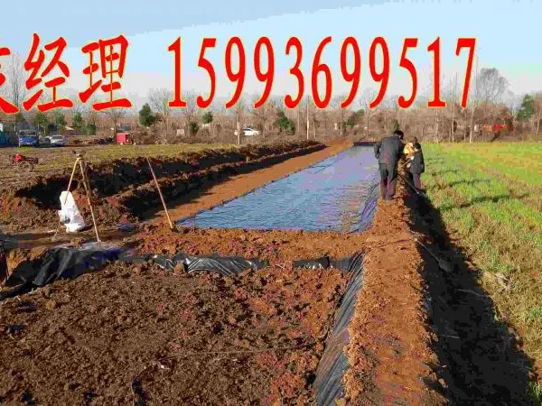 פ�����ϲ��²�����ƽ����ƽ��ƽ����ȷɽ���������������˳�hdpe��Ĥ����Ӧ����ר�÷�©ˮ��Ĥ