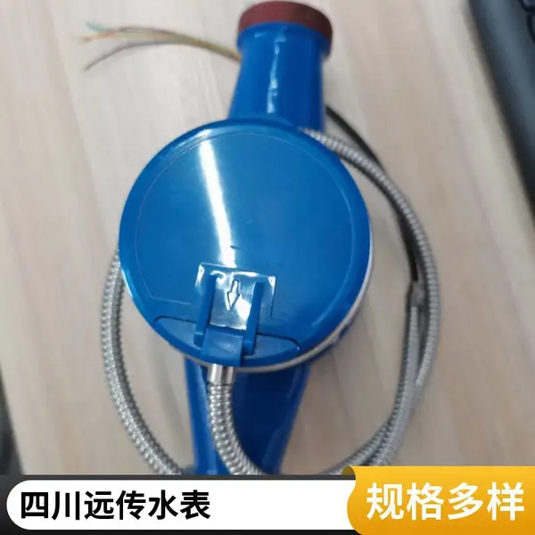 ��ھ�����Զ��ˮ������Զ�̳��������ϵͳ��ҵDN50 100