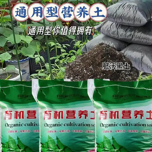 绵阳育苗基质 草炭土 营养土 腐殖土 药材育苗专用基质