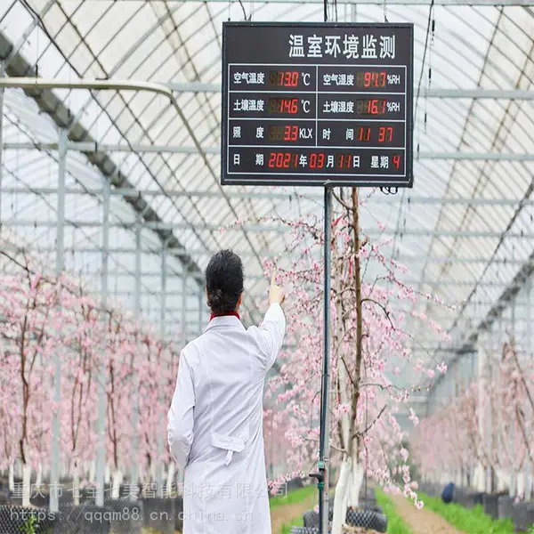 智能大棚种植设计公司 现代智慧日光温室种植建设方案