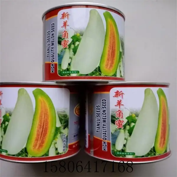 羊角蜜甜瓜种子 早熟高产抗病的甜瓜种子新品种