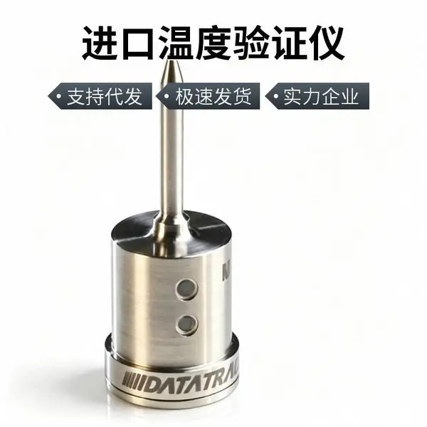 DXH 无线温度记录器 温度灭菌验证记录仪 规格齐全 厂家货源